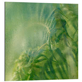 Magnettafel Farne im Gewächshaus