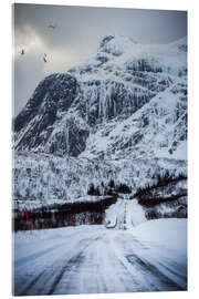 Acrylic print Road in Lofoten, Norway