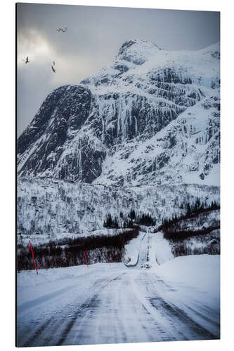 Aluminium print Road in Lofoten, Norway