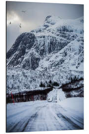 Alubild Straße auf den Lofoten, Norwegen