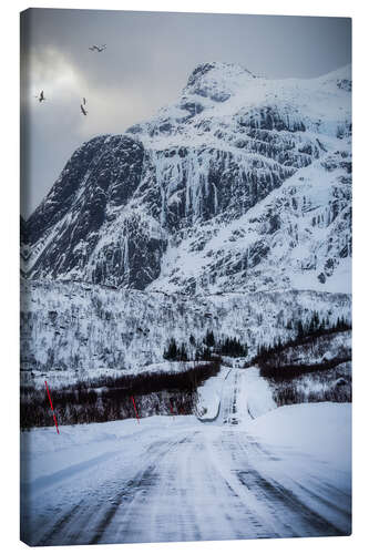 Canvas print Road in Lofoten, Norway