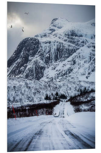 Foam board print Road in Lofoten, Norway