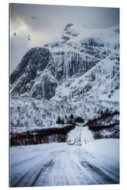 Gallery Print Straße auf den Lofoten, Norwegen