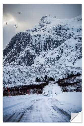 Sticker mural Route dans les Lofoten, Norvège