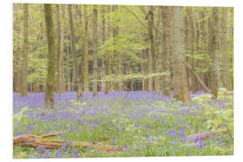 Foam board print Sea of flowers in the spring forest