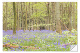 Wall sticker Sea of flowers in the spring forest