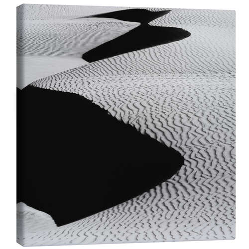 Canvas print Sand dunes on Pismo Beach, California