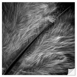 Sisustustarra Feather Detail