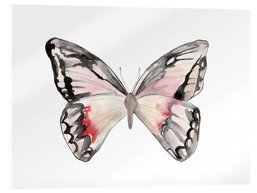 Acrylic print Butterfly