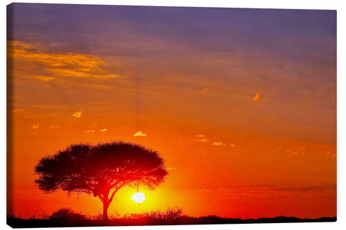 Leinwandbild Sonnenaufgang in Namibia