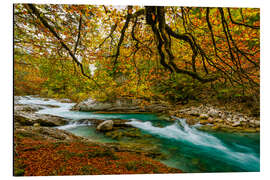 Alubild Herbst im Risstal