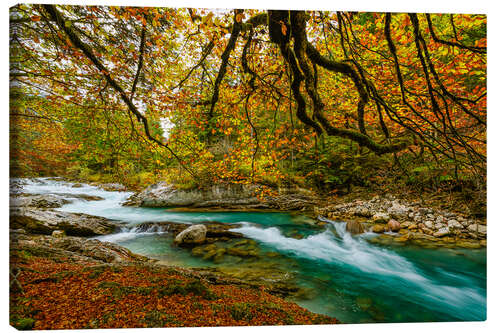 Tableau sur toile L’automne dans la vallée du Rissbach