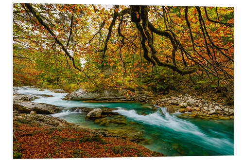 Tableau en PVC L’automne dans la vallée du Rissbach