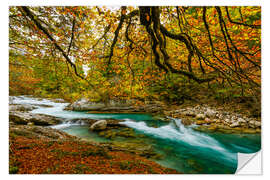 Selvklebende plakat Autumn in the Risstal