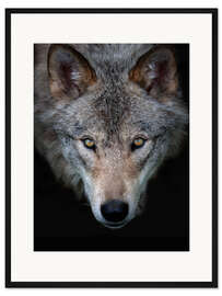 Gerahmter Kunstdruck Timberwolf