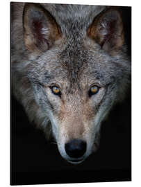 Magnettafel Timberwolf