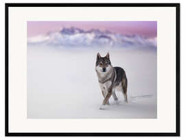 Impression artistique encadrée Loup dans la neige