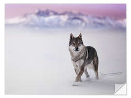 Wandsticker Wolf im Schnee