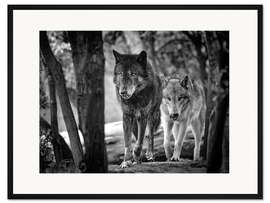 Gerahmter Kunstdruck Wolfstrab