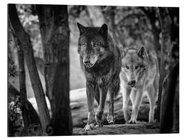 Magnettafel Wolfstrab