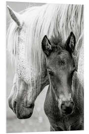 Foam board print Mother with foal