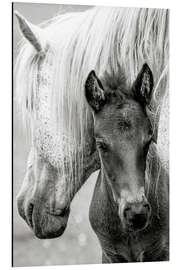 Magnettafel Mutter mit Fohlen