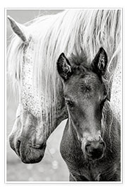 Kunstwerk  Paardenmoeder met veulen - Jacky Parker