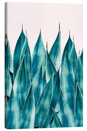 Canvas print Summer Agave