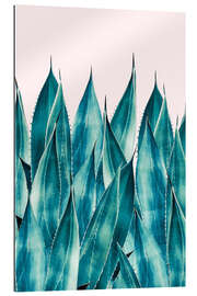 Gallery print Summer Agave