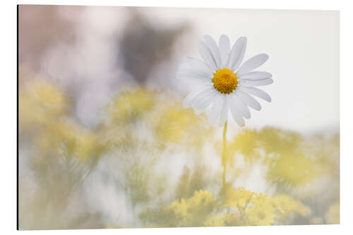 Tableau en aluminium Jaune magnifique