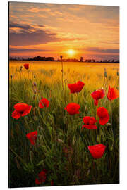 Magnettafel Sommerabend