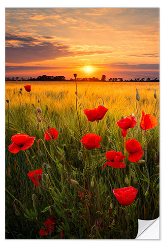 Selvklæbende plakat Summer evening