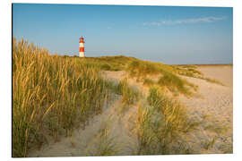 Alubild Sommermorgen am Leuchturm auf Sylt