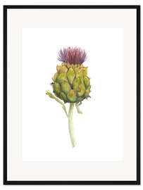 Gerahmter Kunstdruck Artischocke