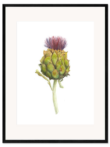 Ingelijste kunstdruk Artichoke