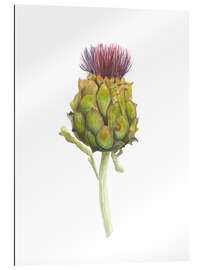 Gallery print Artichoke