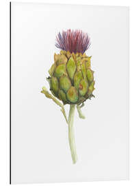 Magnettafel Artischocke