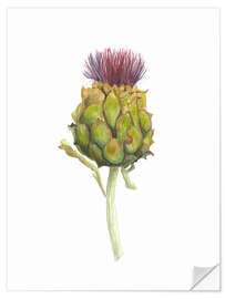 Selvklebende plakat Artichoke