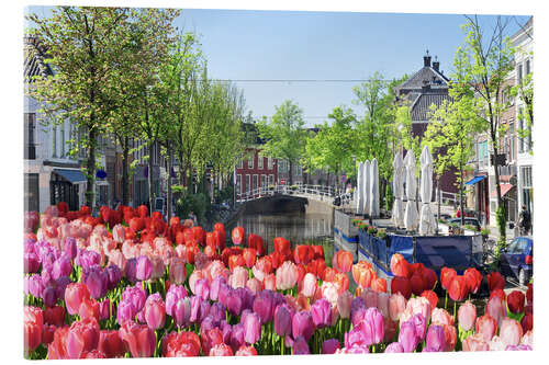 Acrylic print Sea of tulips in Amsterdam