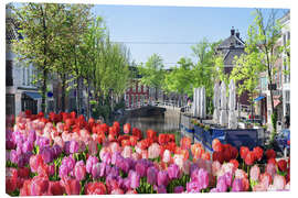 Lærredsbillede  Sea of tulips in Amsterdam