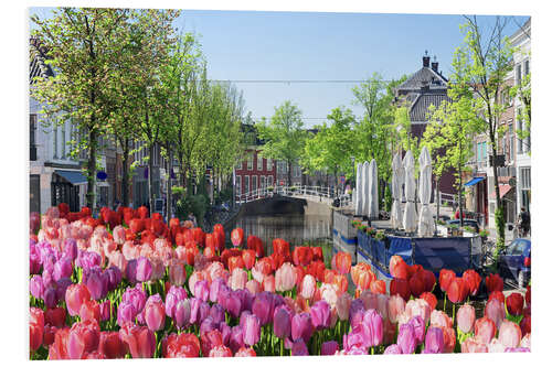 PVC-taulu Sea of tulips in Amsterdam