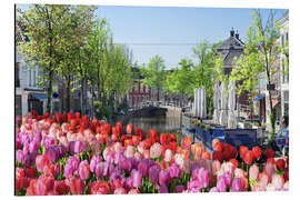 Magnettafel Tulpenmeer in Amsterdam