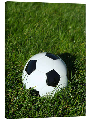 Obraz na płótnie Soccer ball on the grass