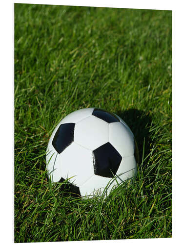 PVC print Soccer ball on the grass