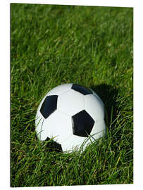 Galleritryk Soccer ball on the grass