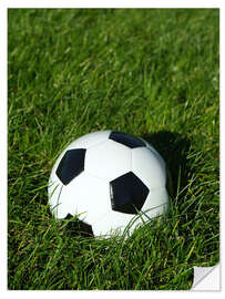 Wall sticker Soccer ball on the grass