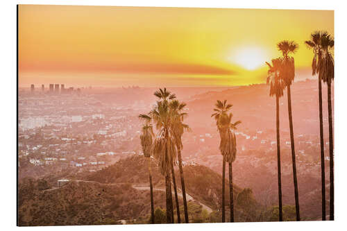 Alumiinitaulu Sunset in Griffith Park, Los Angeles