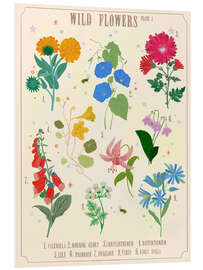 Foam board print Wildflowers i