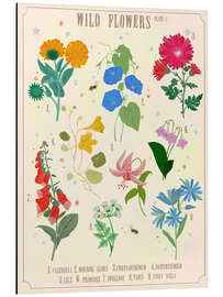Magnettafel Wildblumen I