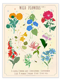 Poster Wildblumen I